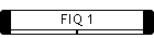FIQ 1
